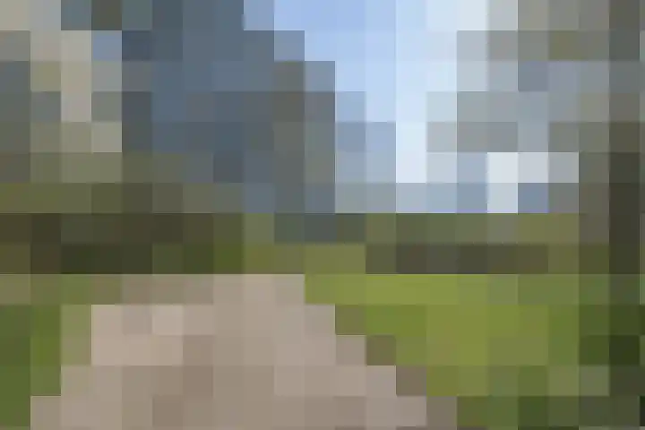 Laan van Parijs 120 Haarlem thumbnail 25