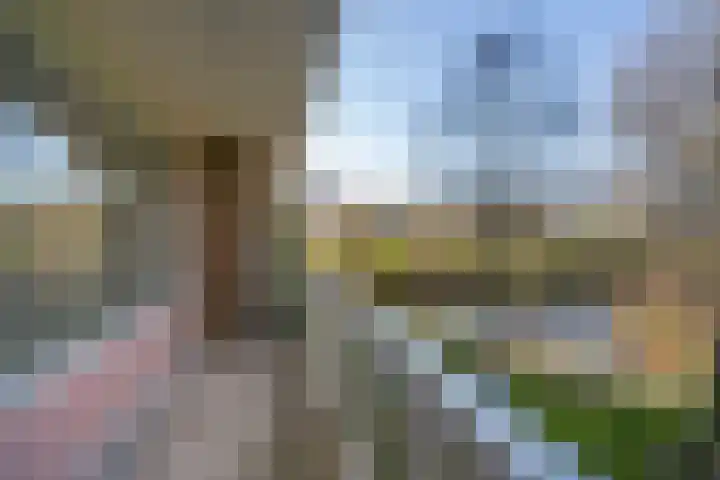Laan van Parijs 120 Haarlem thumbnail 9