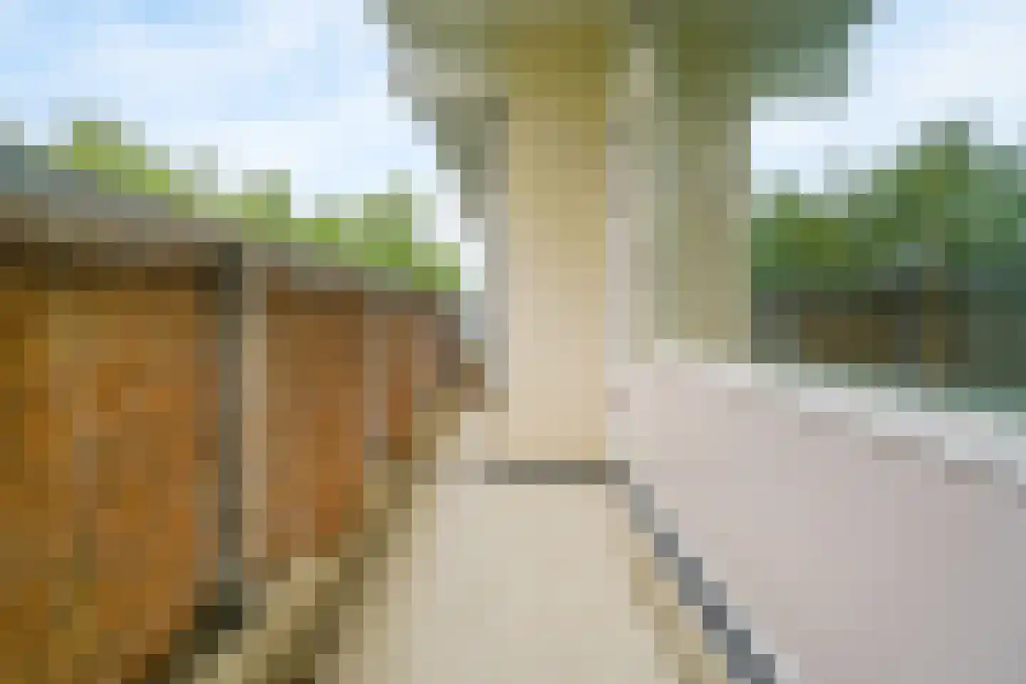 Laan van Parijs 126 Haarlem thumbnail 21