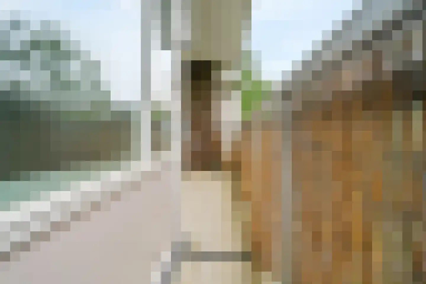 Laan van Parijs 126 Haarlem thumbnail 22
