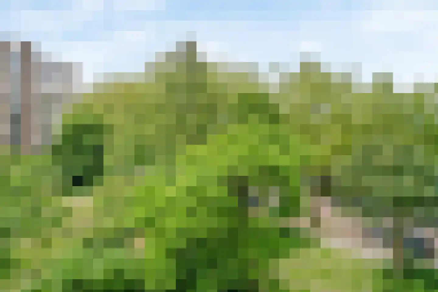 Laan van Parijs 126 Haarlem thumbnail 25