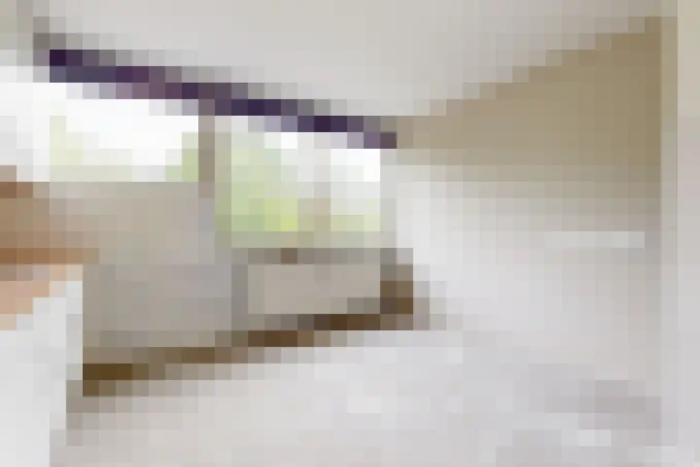 Laan van Parijs 126 Haarlem thumbnail 9