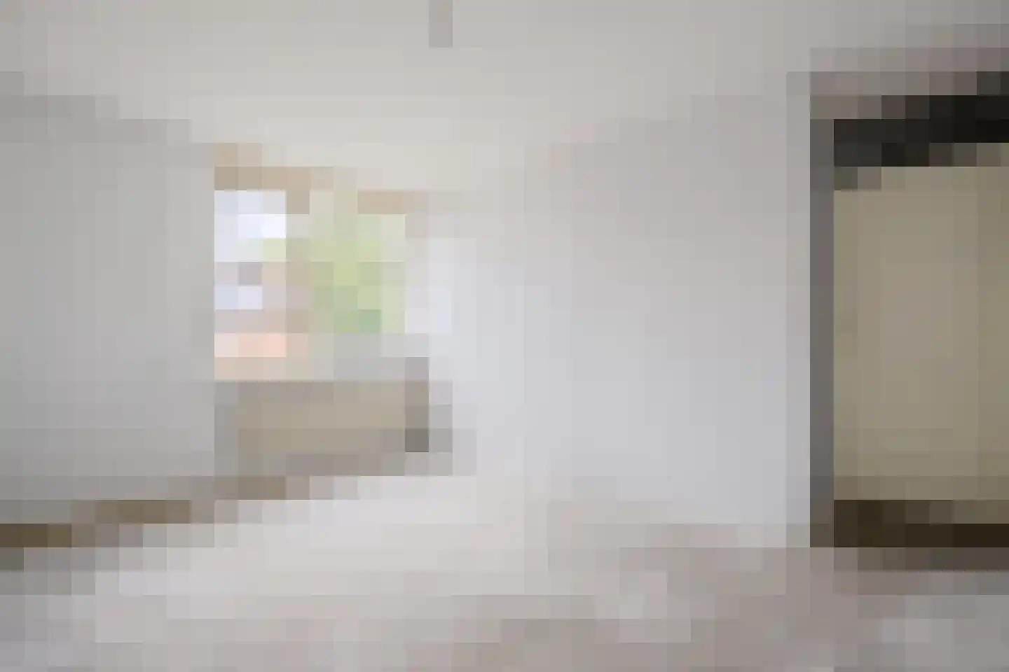 Laan van Parijs 132 Alkmaar thumbnail 12