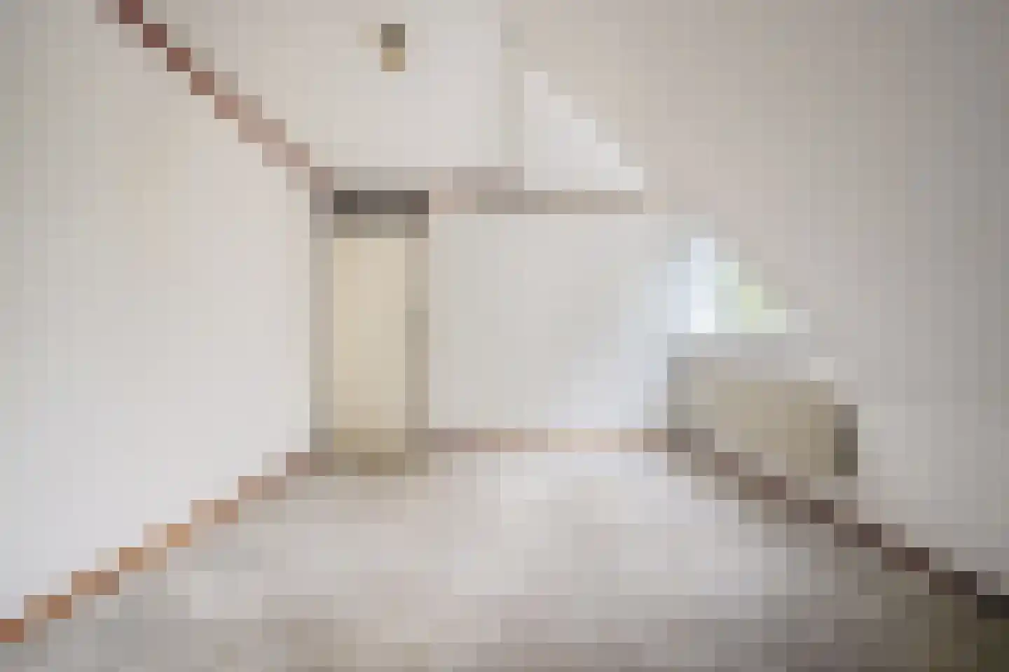 Laan van Parijs 132 Alkmaar thumbnail 15