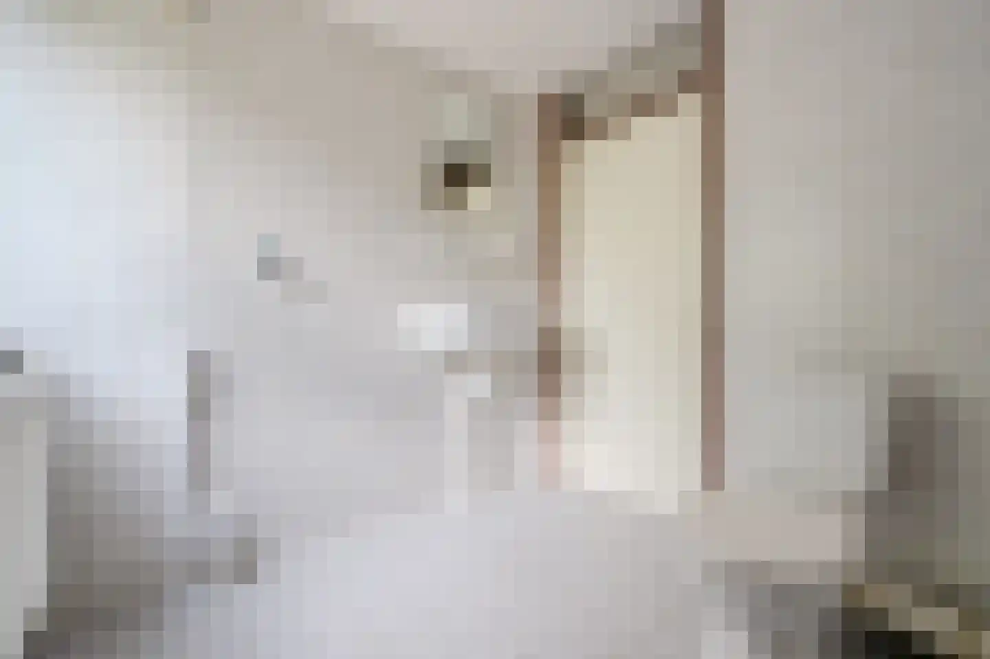 Laan van Parijs 132 Alkmaar thumbnail 19