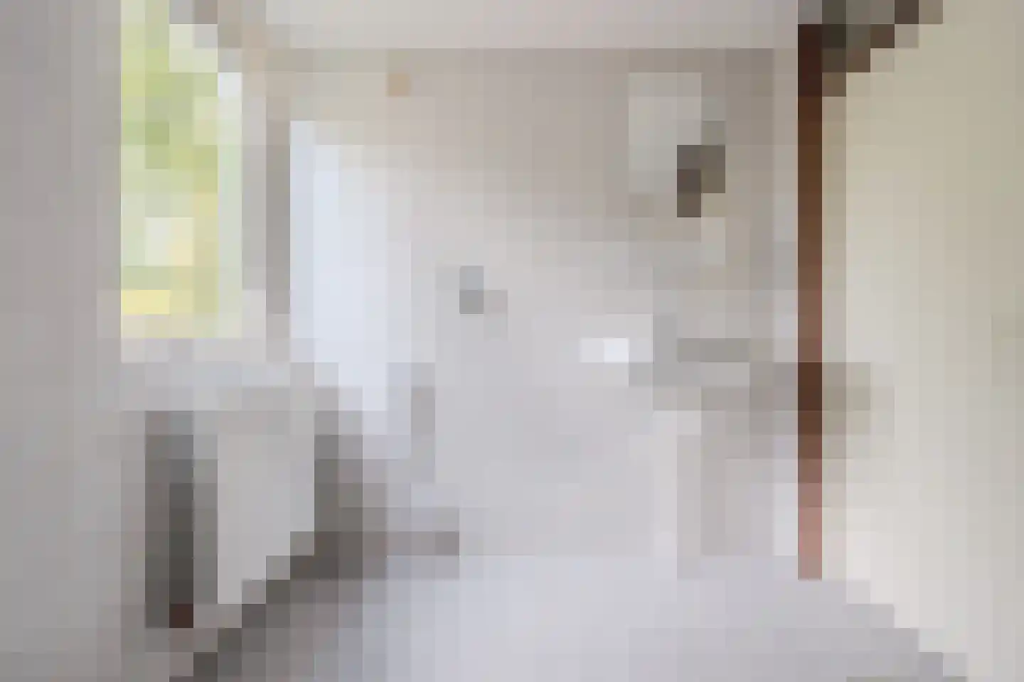 Laan van Parijs 132 Alkmaar thumbnail 20