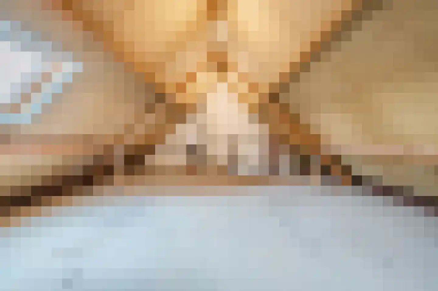 Laan van Parijs 132 Alkmaar thumbnail 22