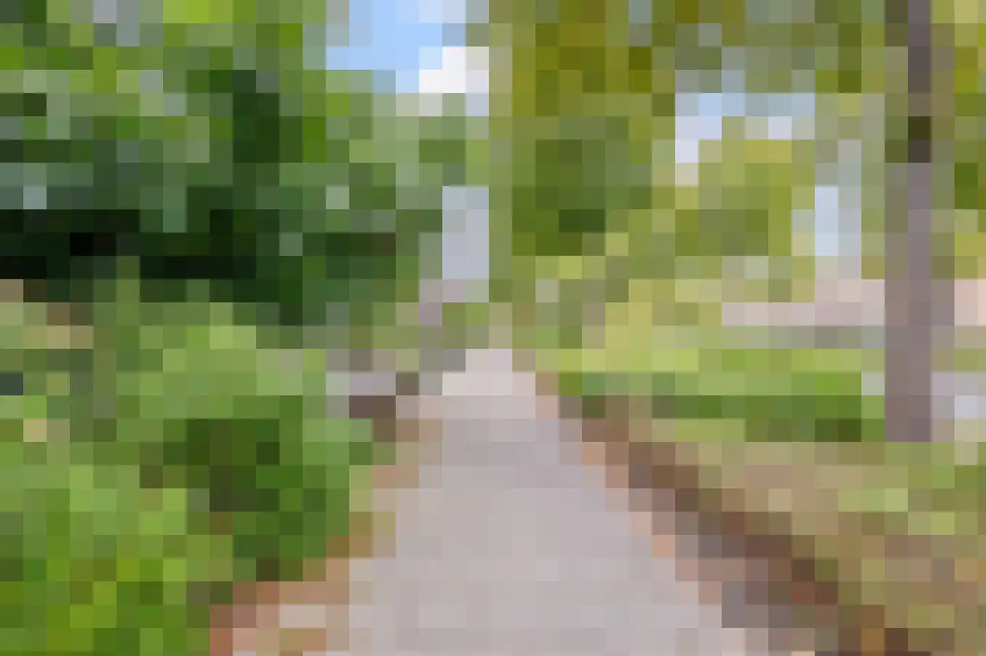 Laan van Parijs 132 Alkmaar thumbnail 28