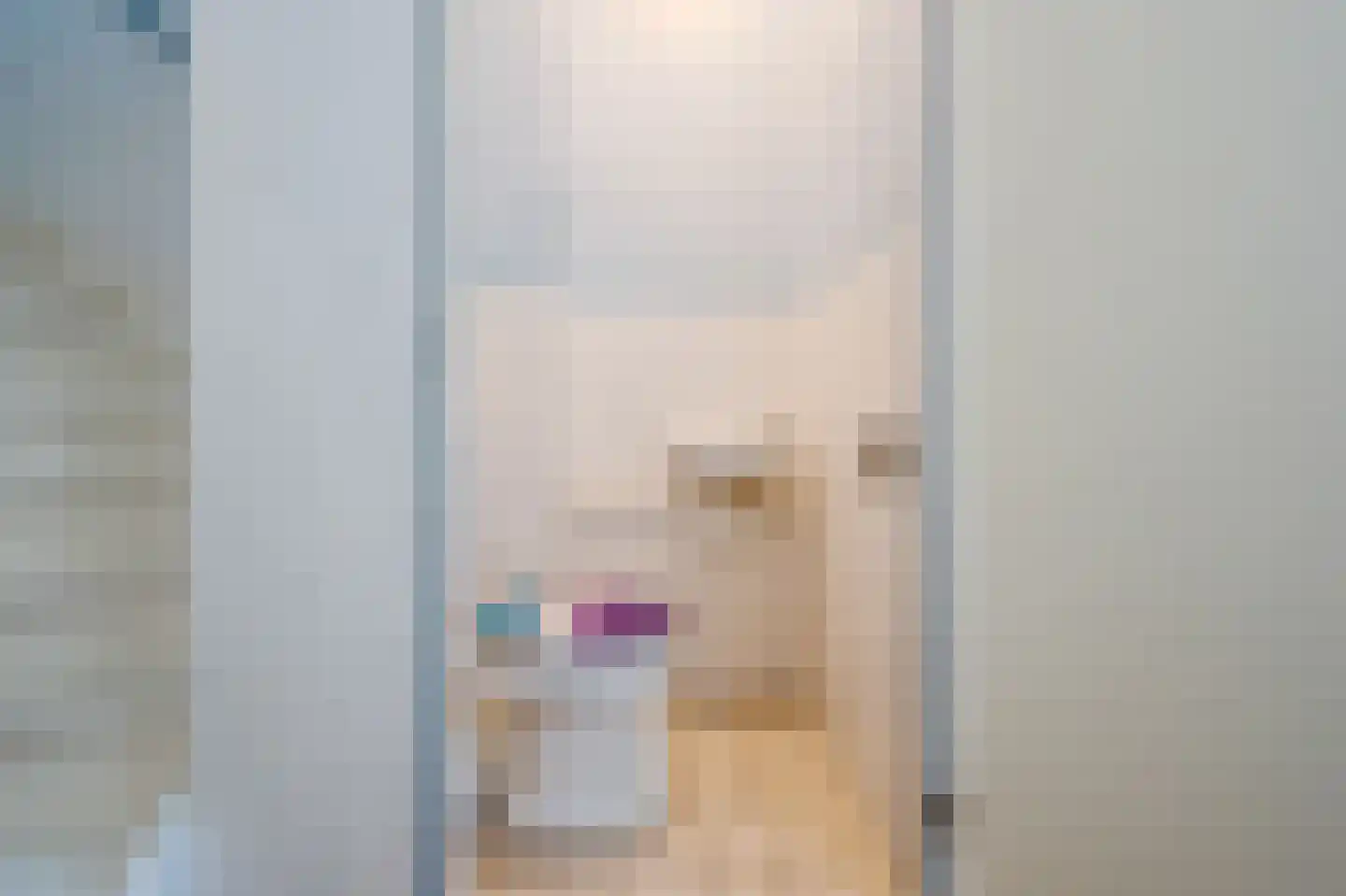 Laan van Parijs 132 Alkmaar thumbnail 9