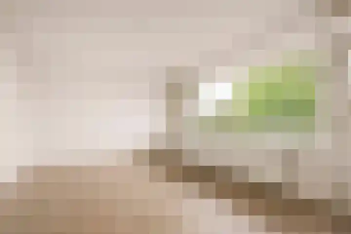 Laan van Parijs 132 Haarlem thumbnail 12