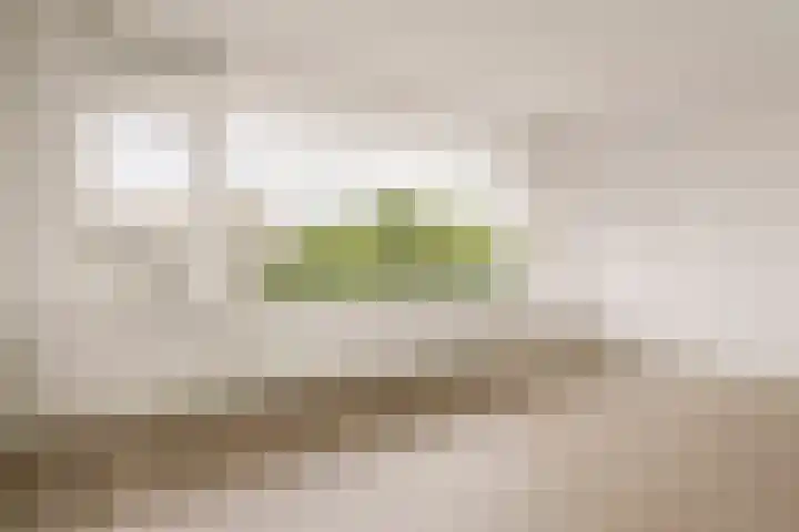 Laan van Parijs 132 Haarlem thumbnail 13