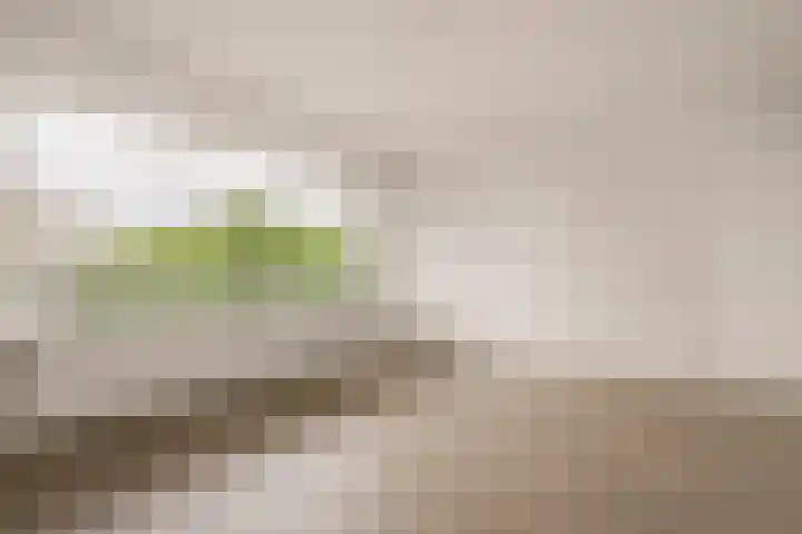 Laan van Parijs 132 Haarlem thumbnail 14