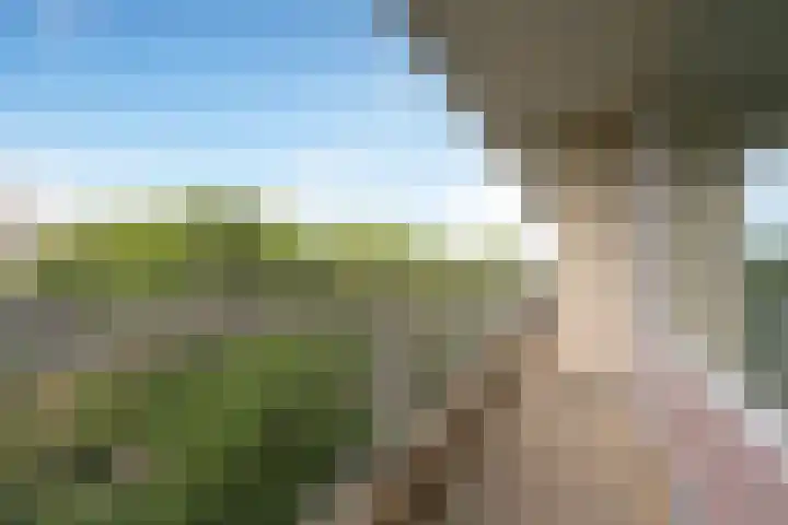 Laan van Parijs 132 Haarlem thumbnail 15