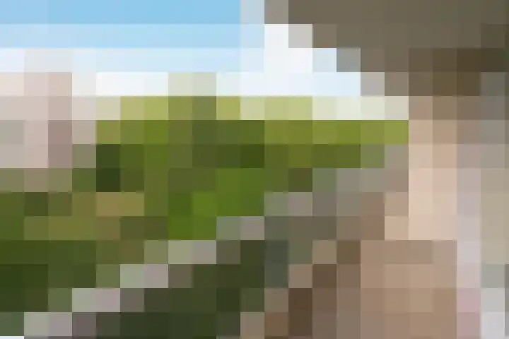 Laan van Parijs 132 Haarlem thumbnail 16