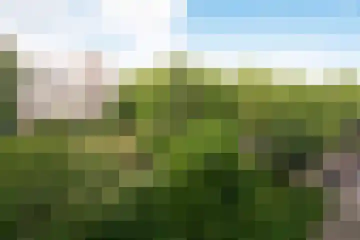 Laan van Parijs 132 Haarlem thumbnail 17