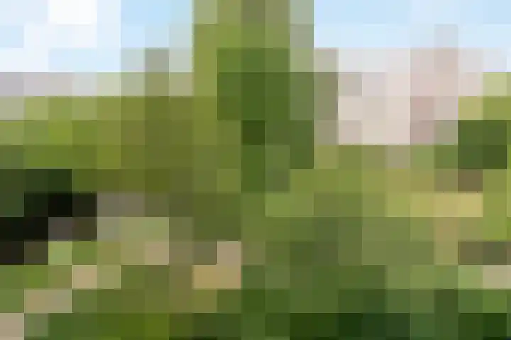 Laan van Parijs 132 Haarlem thumbnail 18
