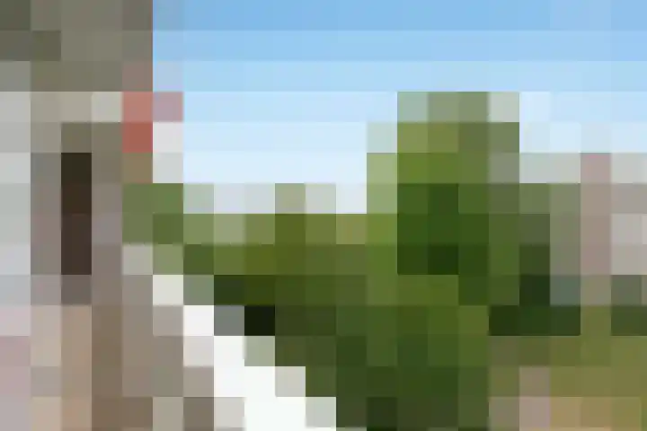 Laan van Parijs 132 Haarlem thumbnail 19