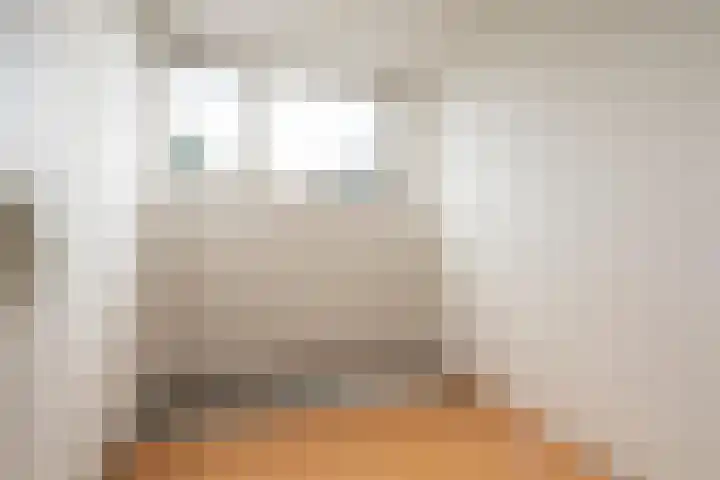 Laan van Parijs 132 Haarlem thumbnail 30
