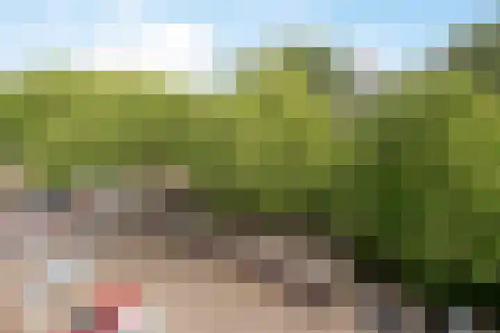 Laan van Parijs 132 Haarlem thumbnail 31