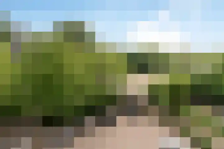 Laan van Parijs 132 Haarlem thumbnail 32