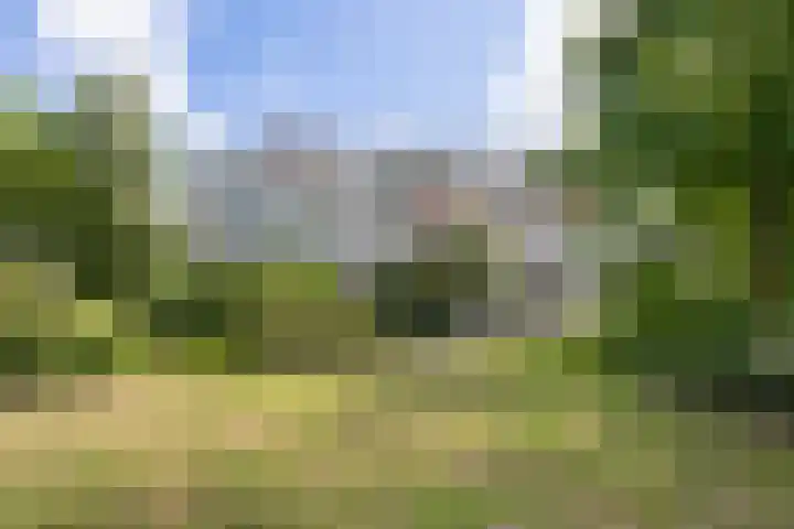 Laan van Parijs 132 Haarlem thumbnail 34