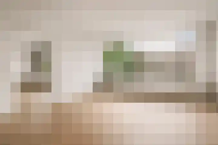 Laan van Parijs 132 Haarlem thumbnail 6