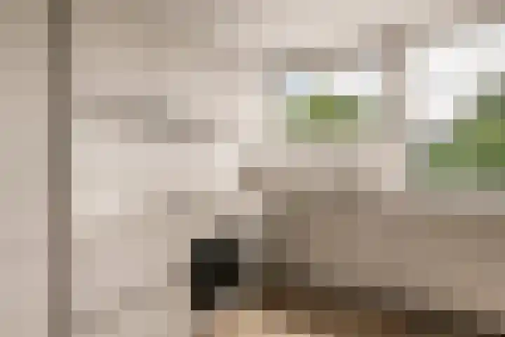 Laan van Parijs 132 Haarlem thumbnail 8