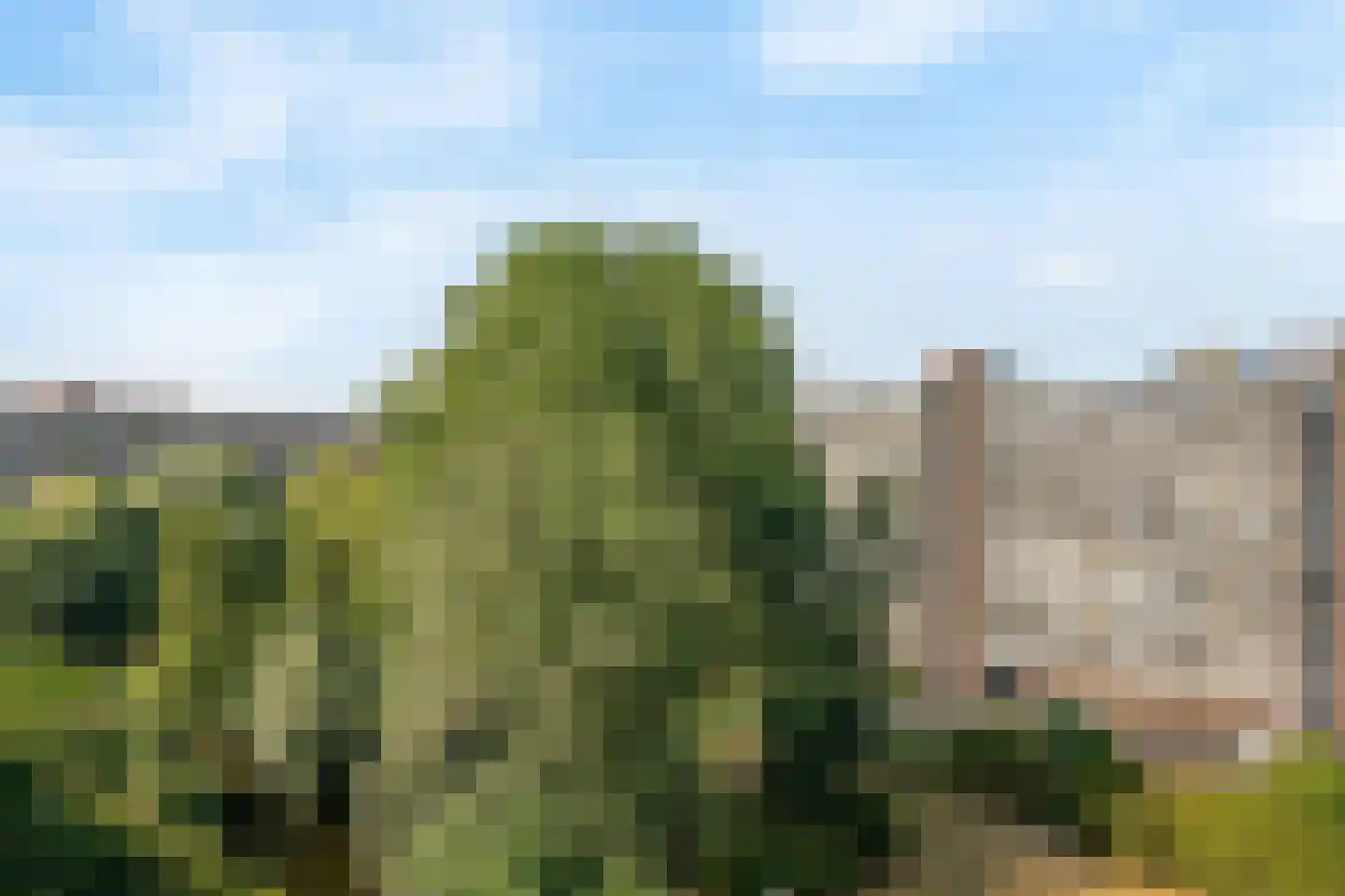 Laan van Parijs 152 Haarlem thumbnail 19