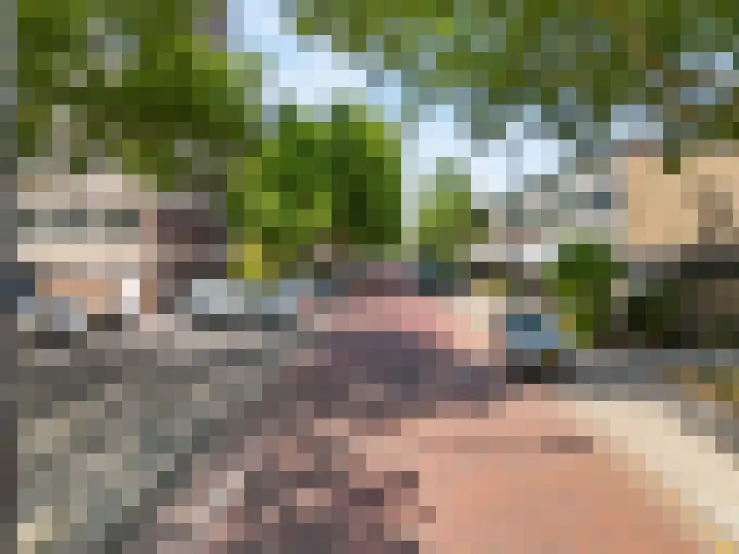 Laan van Parijs 152 Haarlem thumbnail 5