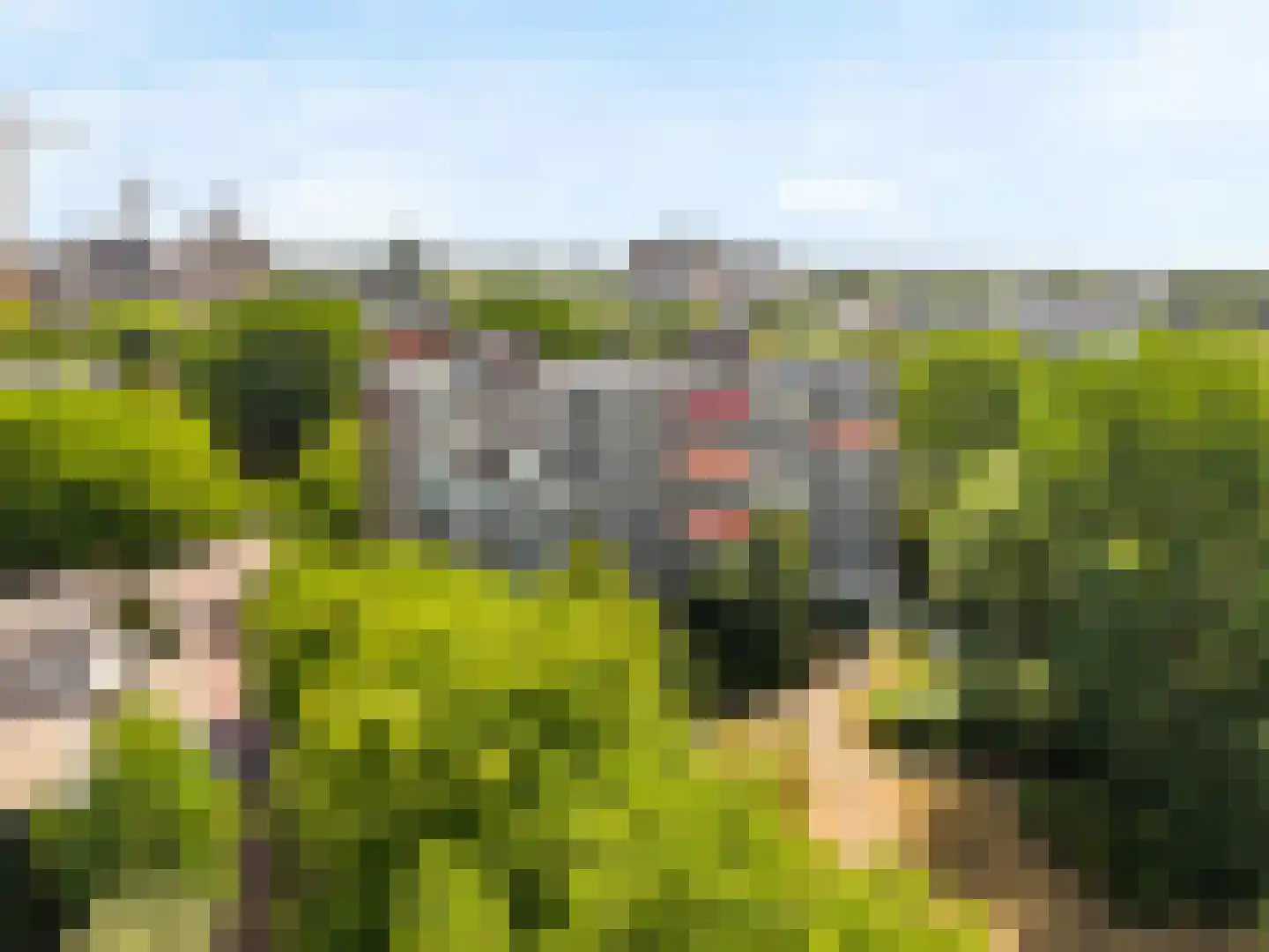 Laan van Parijs 158 Haarlem thumbnail 22