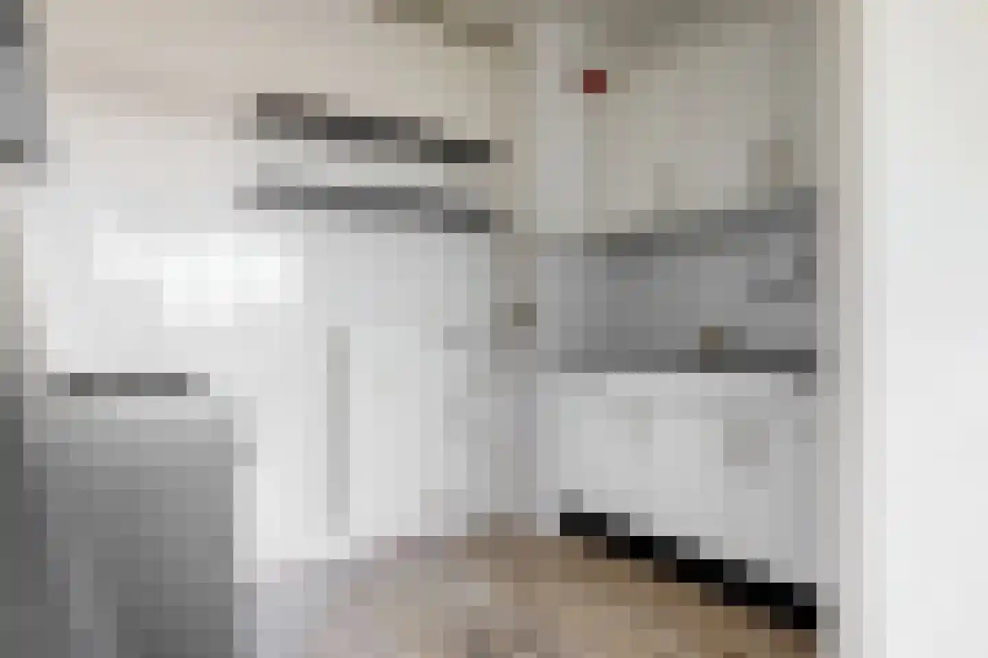 Laan van Parijs 158 Haarlem thumbnail 4