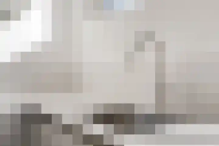 Laan van Parijs 16 Haarlem thumbnail 10