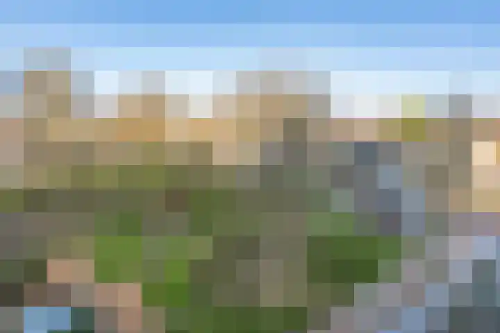 Laan van Parijs 16 Haarlem thumbnail 19