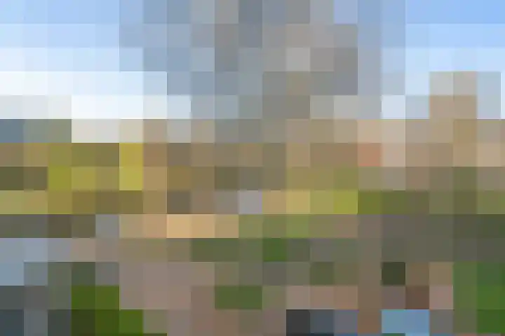 Laan van Parijs 16 Haarlem thumbnail 20