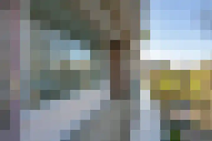 Laan van Parijs 16 Haarlem thumbnail 23