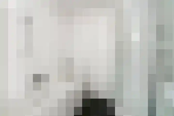 Laan van Parijs 16 Haarlem thumbnail 28