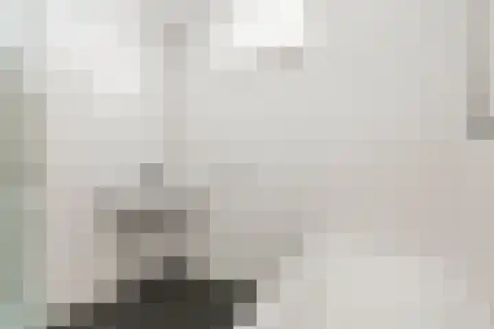 Laan van Parijs 16 Haarlem thumbnail 30