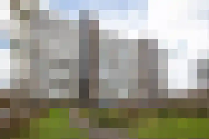 Laan van Parijs 16 Haarlem thumbnail 36