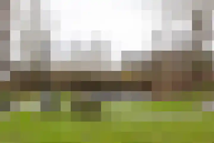 Laan van Parijs 16 Haarlem thumbnail 37