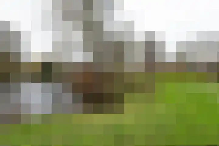 Laan van Parijs 16 Haarlem thumbnail 38