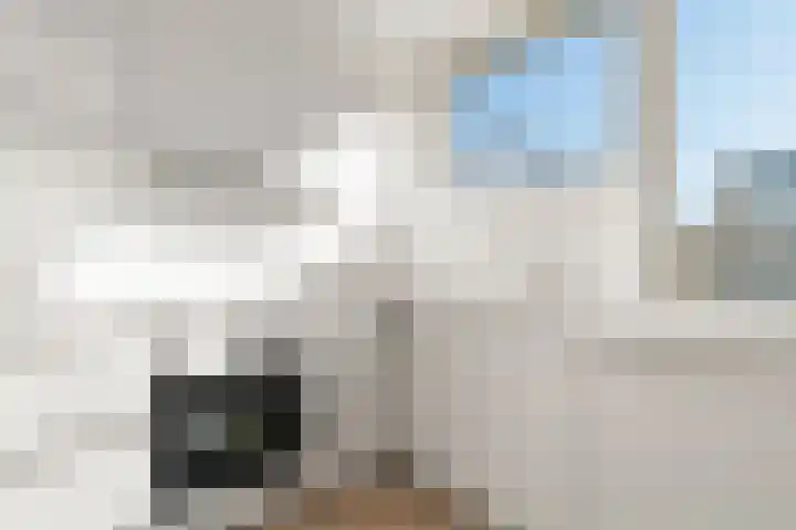 Laan van Parijs 16 Haarlem thumbnail 8