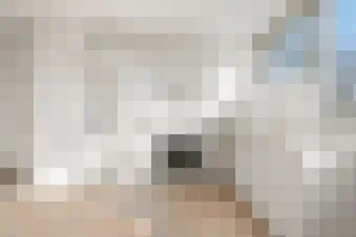 Laan van Parijs 16 Haarlem thumbnail 9
