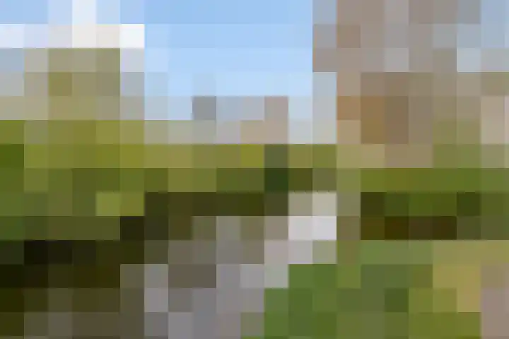 Laan van Parijs 162 Haarlem thumbnail 16