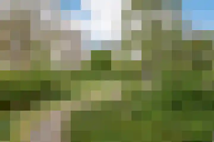 Laan van Parijs 162 Haarlem thumbnail 17