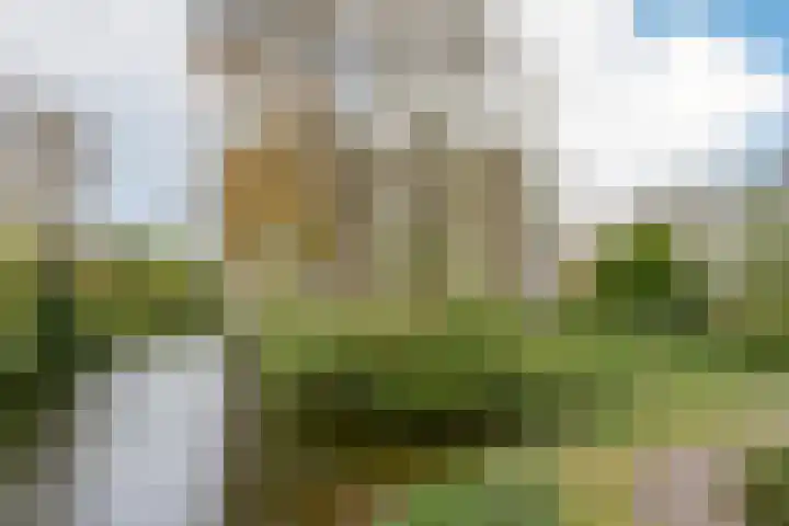 Laan van Parijs 162 Haarlem thumbnail 18