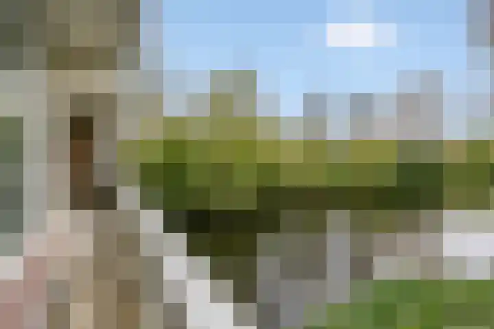 Laan van Parijs 162 Haarlem thumbnail 19