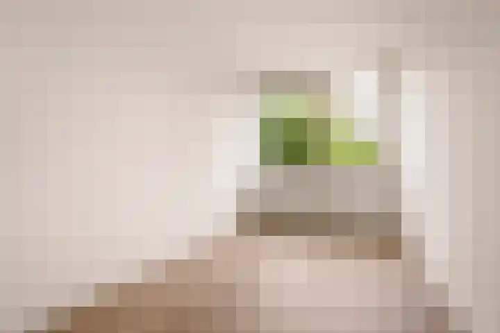 Laan van Parijs 162 Haarlem thumbnail 24
