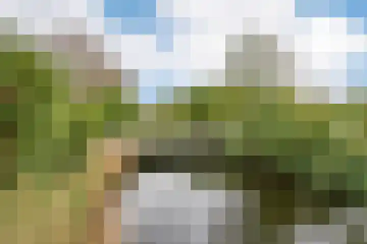Laan van Parijs 162 Haarlem thumbnail 28