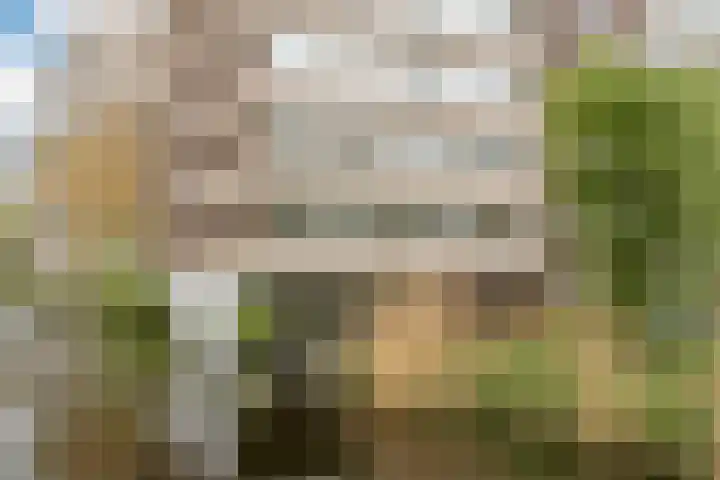 Laan van Parijs 162 Haarlem thumbnail 33
