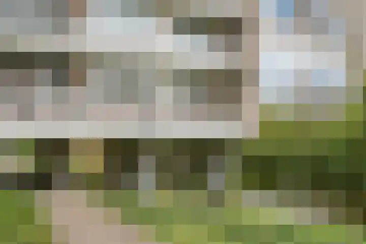 Laan van Parijs 162 Haarlem thumbnail 34